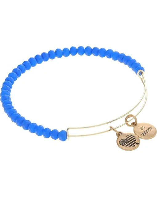 Alex And Ani Matte Brilliance Bracelet, Royal Blue -Fashion Accessories Store 61W2TE7i7TL. AC SR736920