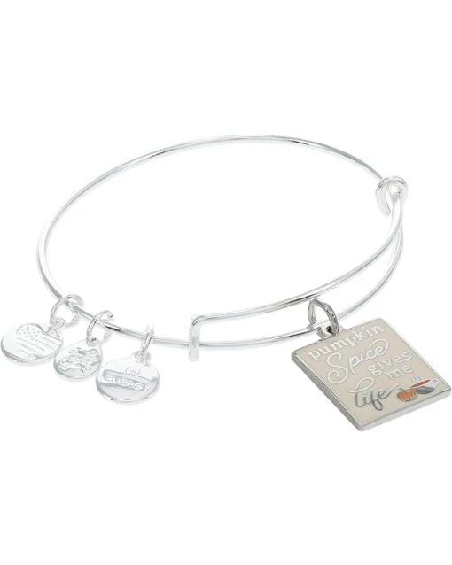 Alex And Ani Pumpkin Spice Gives Me Life Bracelet -Fashion Accessories Store 61bFE70r6PL. AC SR736920