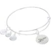 Alex And Ani Happy Birthday, It's Time To Shine Occasions Bracelet -Fashion Accessories Store 61tjrwMLgtL. AC SR736920