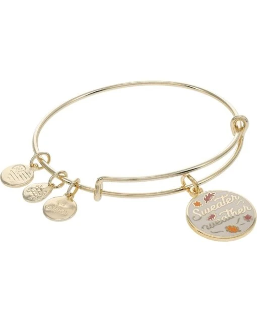 Alex And Ani Sweater Weather Bracelet -Fashion Accessories Store 61tvI38gTHL. AC SR736920